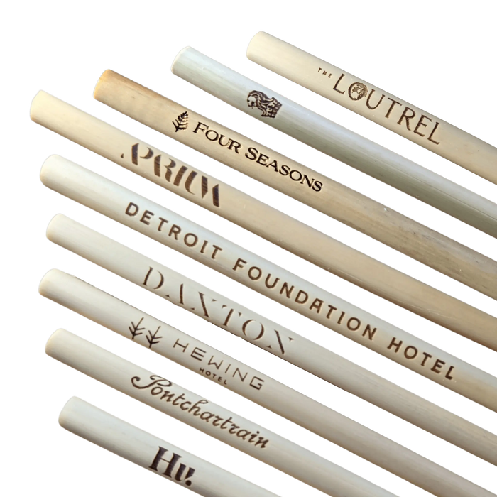 Holy City Straw Laser Engraved Reusable Reed Straw by Farm2Me