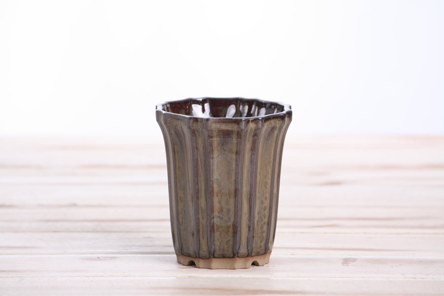3-Inch Flower Cascade Bonsai Pot - Dark Honey