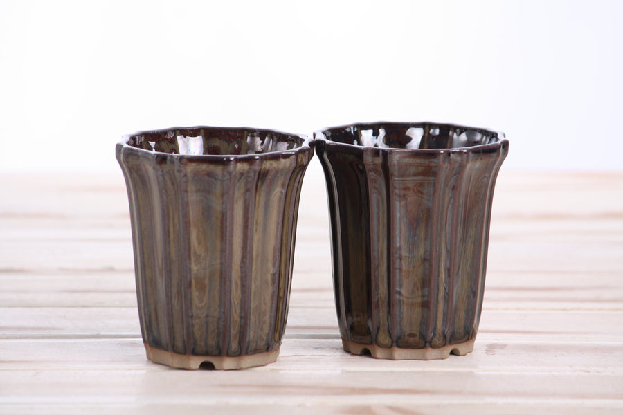 3-Inch Flower Cascade Bonsai Pot - Dark Honey