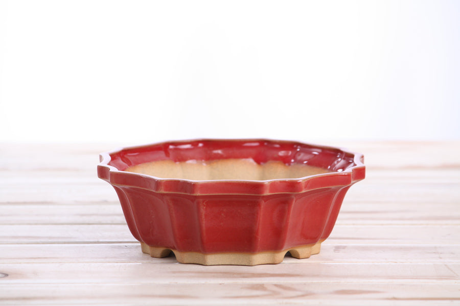 6.5-Inch Flower Bonsai Pot - Red