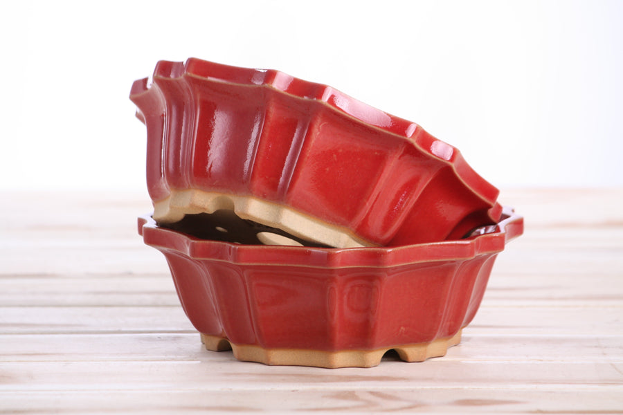 6.5-Inch Flower Bonsai Pot - Red