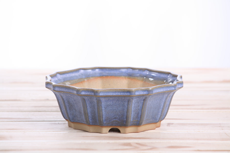 6.5-Inch Flower Bonsai Pot - Denim