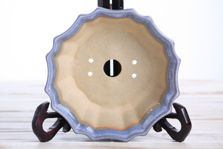 6.5-Inch Flower Bonsai Pot - Denim