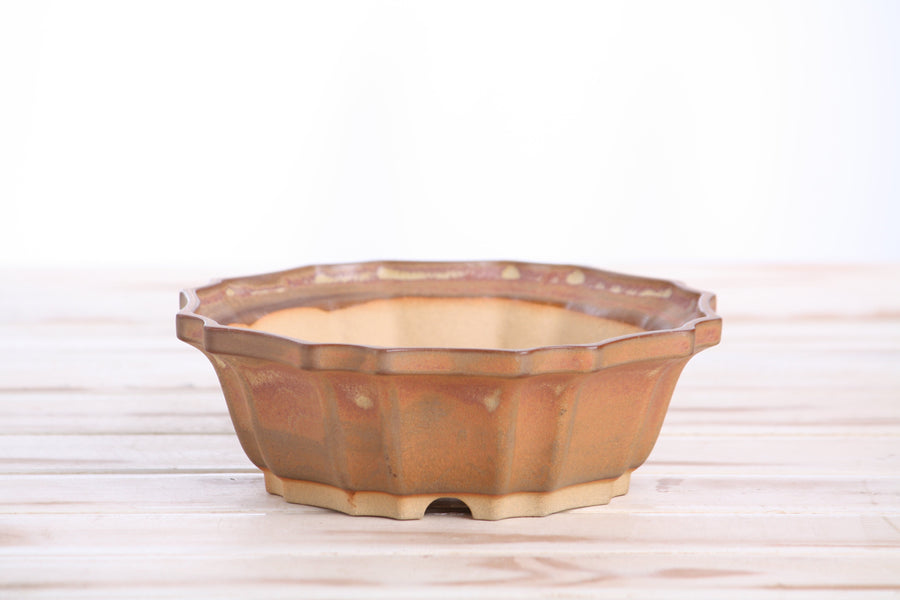 6.5-Inch Flower Bonsai Pot - Deep Stone