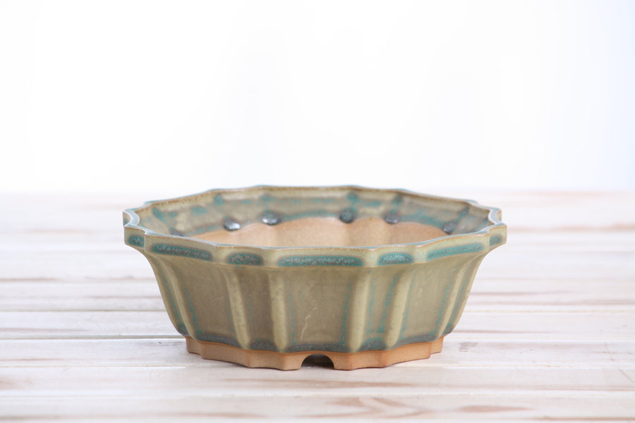 6.5-Inch Flower Bonsai Pot - Speckled Moss