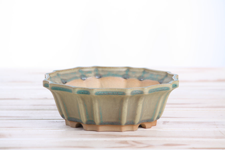 6.5-Inch Flower Bonsai Pot - Speckled Moss