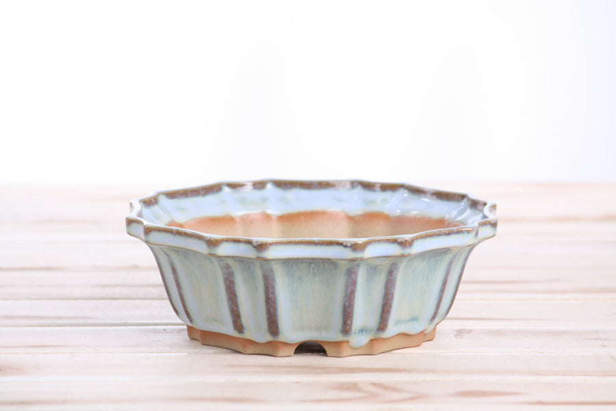 6.5-Inch Flower Bonsai Pot - Glacier