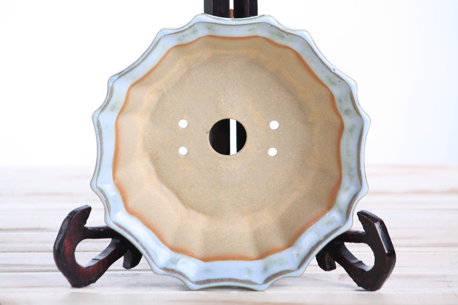 6.5-Inch Flower Bonsai Pot - Glacier