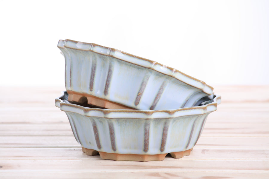 6.5-Inch Flower Bonsai Pot - Glacier