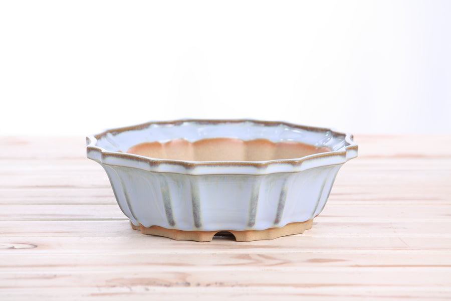 8-Inch Flower Bonsai Pot - Glacier