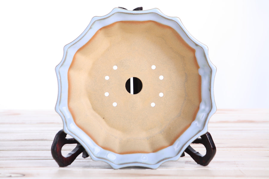 8-Inch Flower Bonsai Pot - Glacier