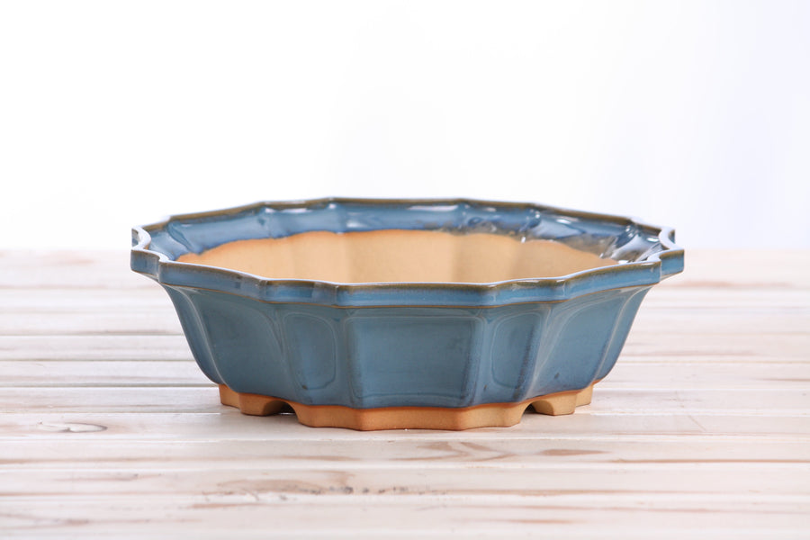 10-Inch Flower Bonsai Pot - Peacock 2025