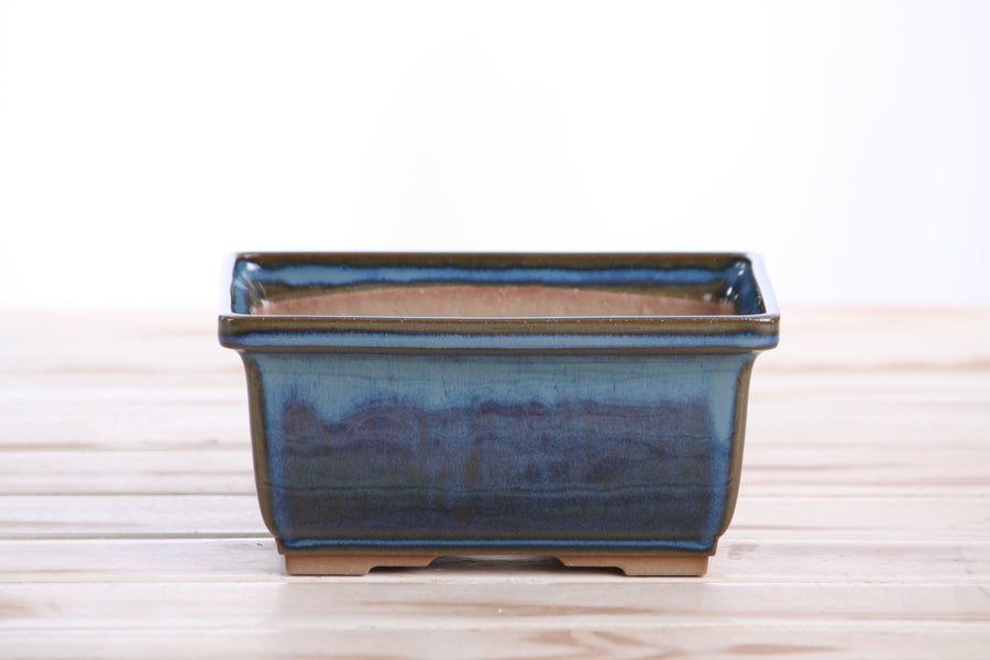6-Inch Rectangle Deep Bonsai Pot - Peacock 2025
