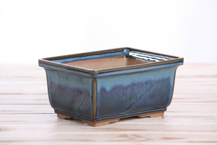 6-Inch Rectangle Deep Bonsai Pot - Peacock 2025
