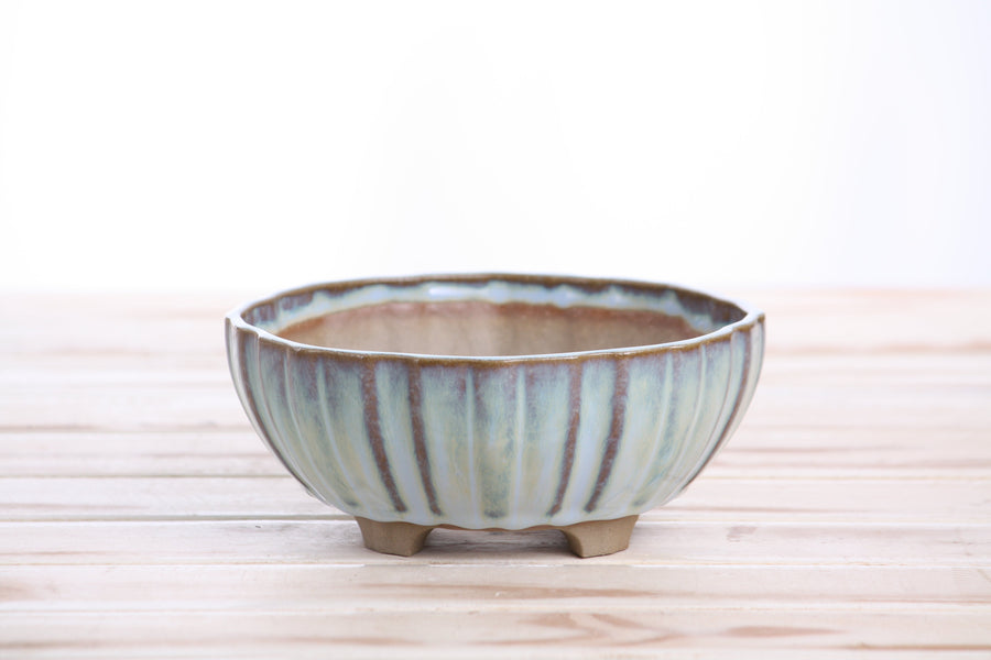 6-Inch Lily Bonsai Pot - Glacier