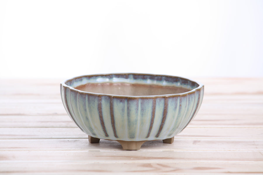 6-Inch Lily Bonsai Pot - Glacier