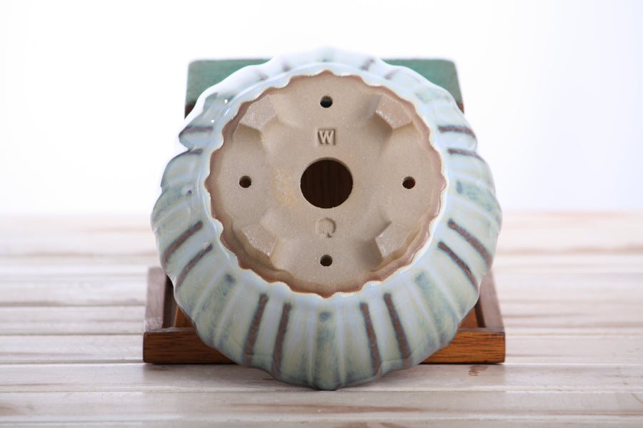 6-Inch Lily Bonsai Pot - Glacier