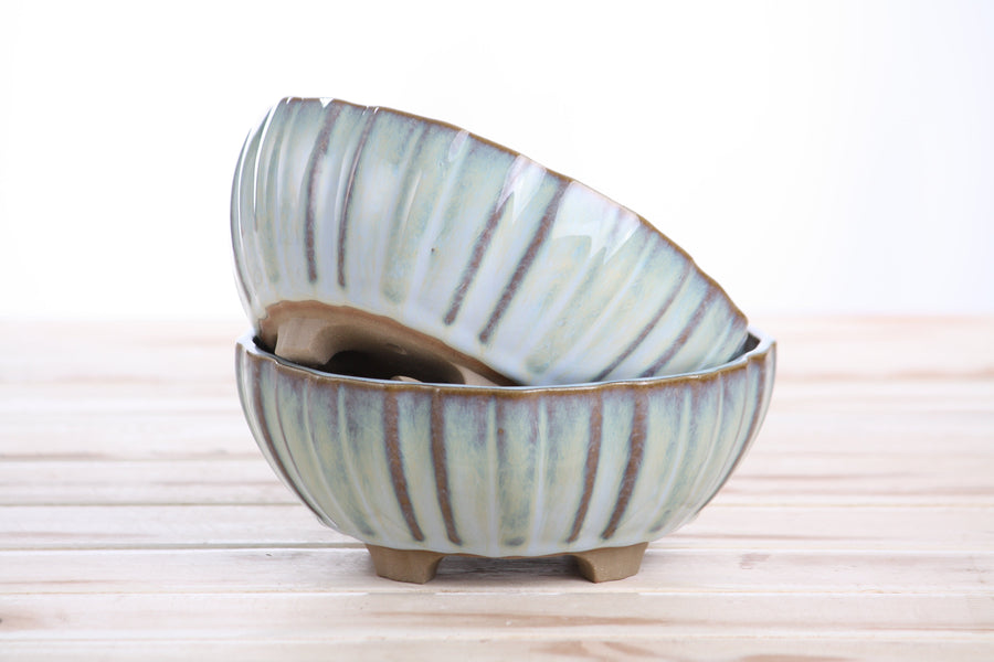 6-Inch Lily Bonsai Pot - Glacier