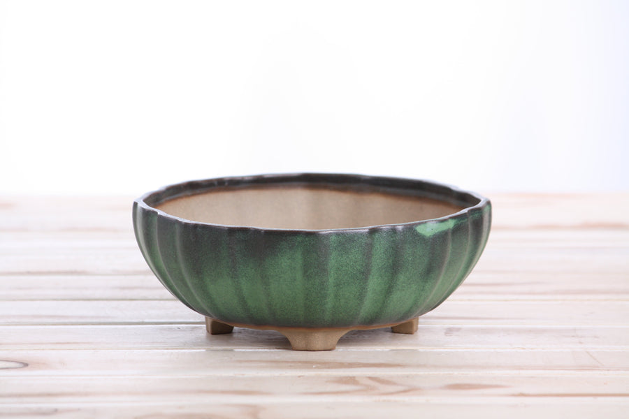 7-Inch Lily Bonsai Pot - Avocado