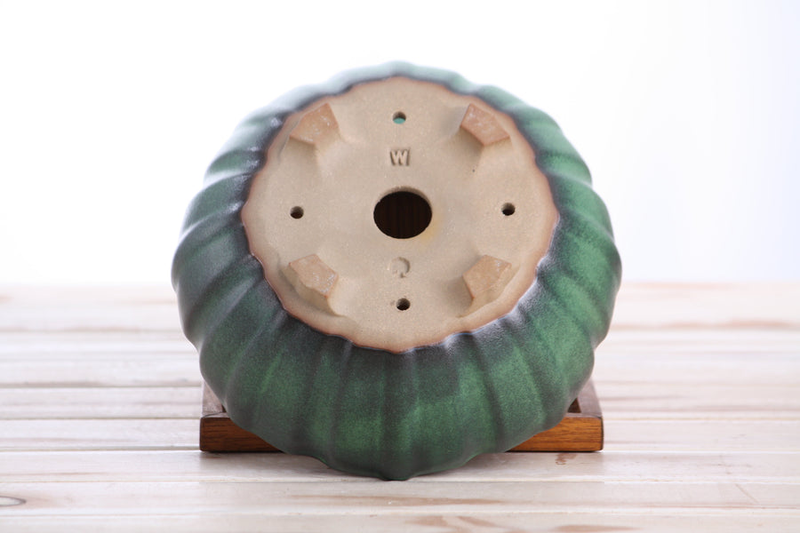 7-Inch Lily Bonsai Pot - Avocado
