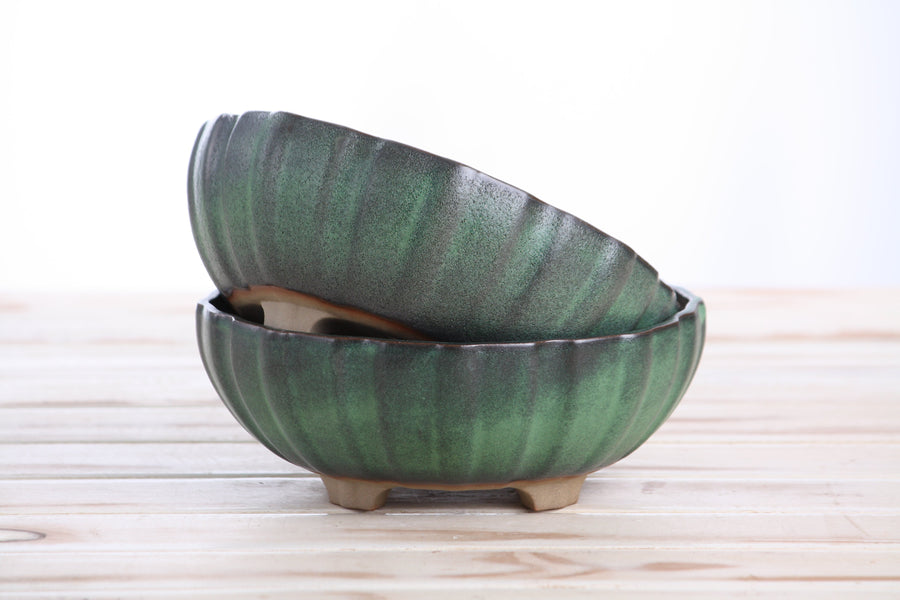 7-Inch Lily Bonsai Pot - Avocado