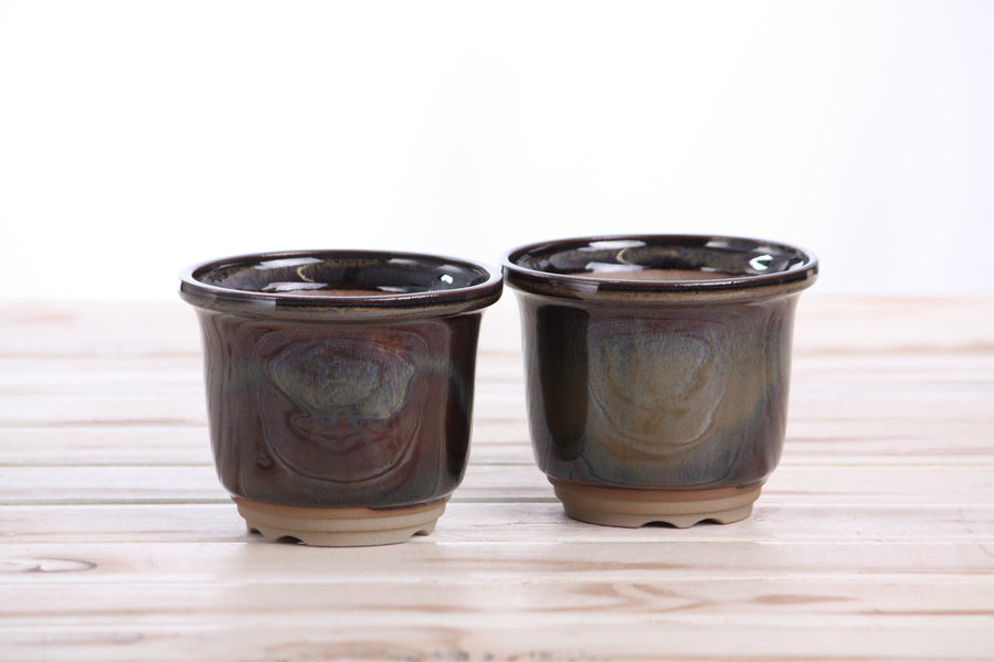 4-Inch Flute Bonsai Pot - Dark Honey