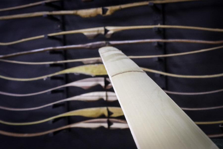 Bamboo Bow-Backing Slats — bow limbs displayed beside a bamboo slat