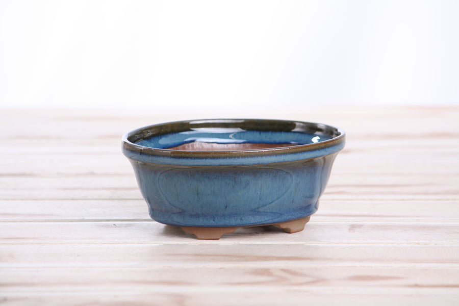 5-Inch Oval B Bonsai Pot - Peacock 2025