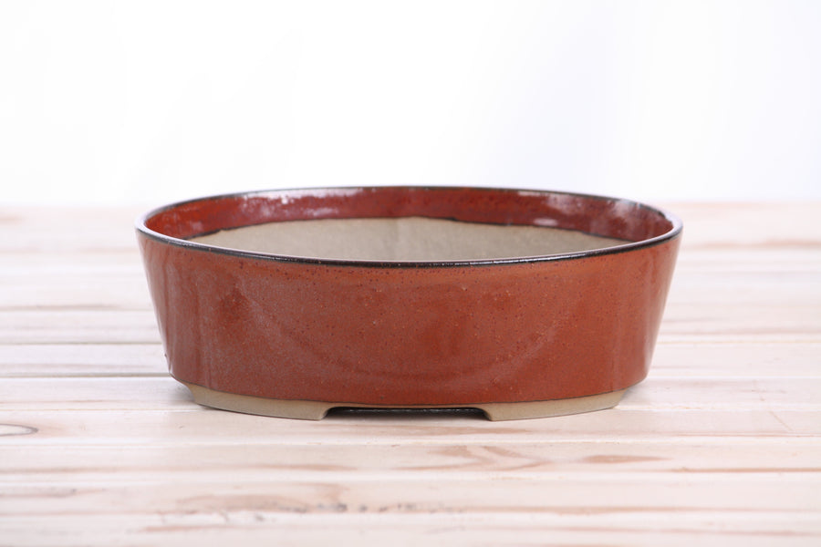 8-Inch Oval A Bonsai Pot - Sunset