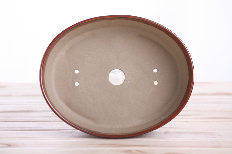 8-Inch Oval A Bonsai Pot - Sunset