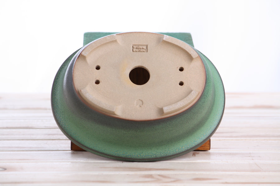 7.5-Inch Fat Oval Bonsai Pot - Avocado