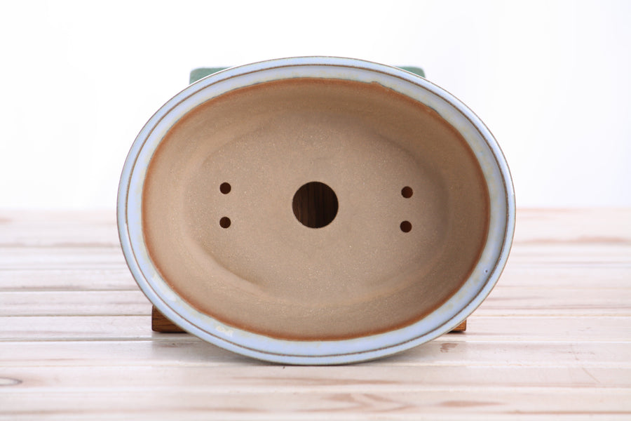 7.5-Inch Fat Oval Bonsai Pot - Glacier