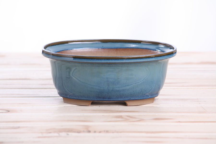 7.5-Inch Fat Oval Bonsai Pot - Peacock 2025