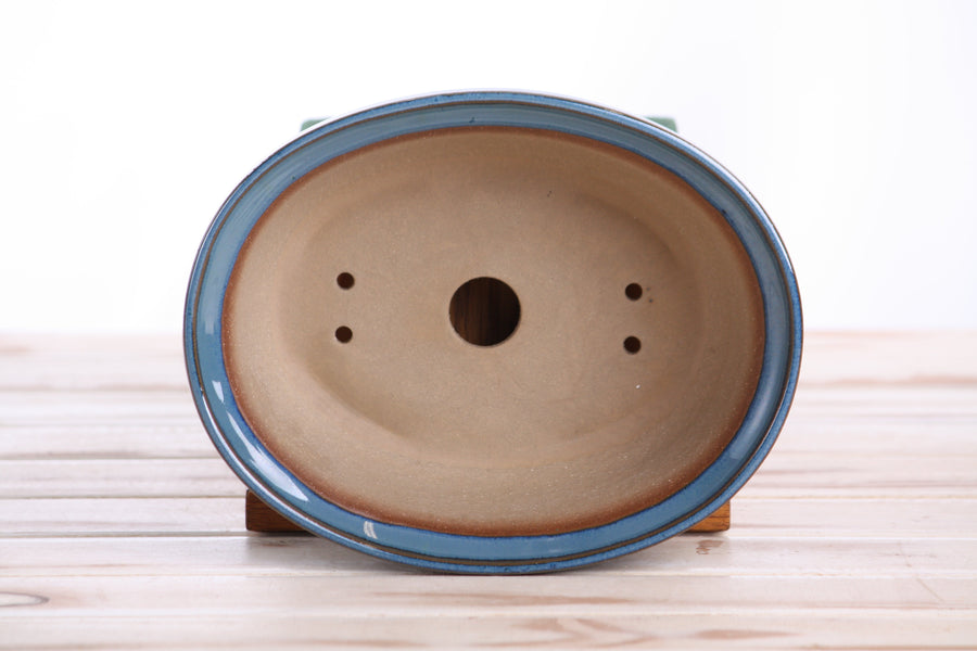 7.5-Inch Fat Oval Bonsai Pot - Peacock 2025