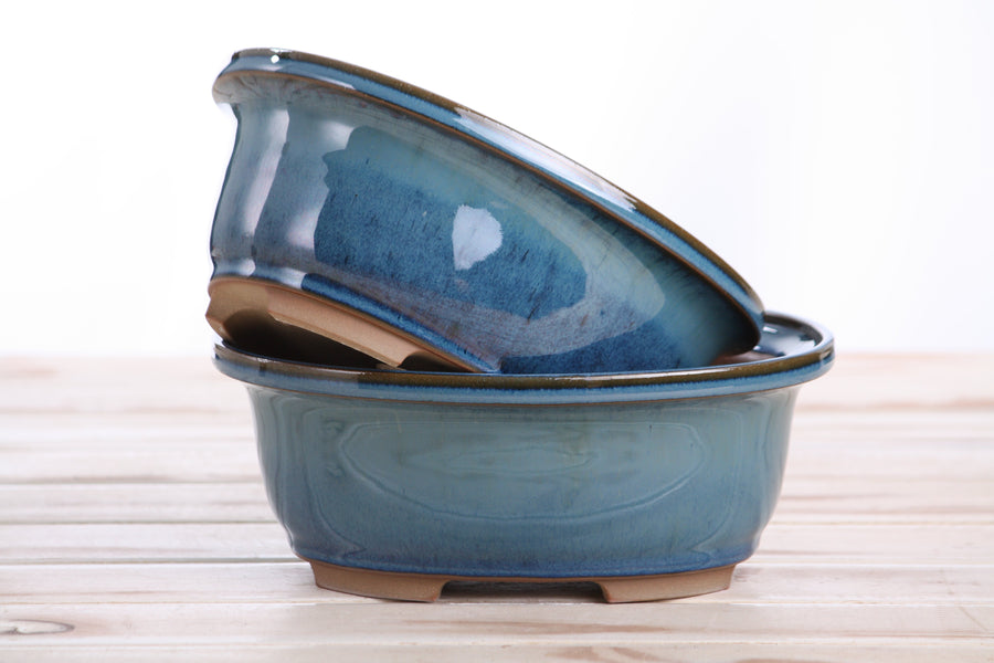 7.5-Inch Fat Oval Bonsai Pot - Peacock 2025