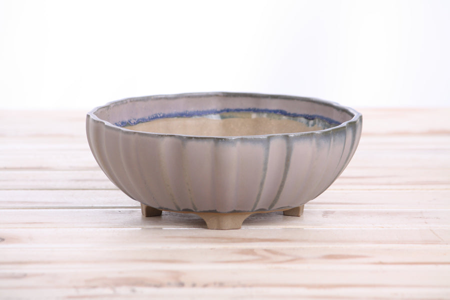 7-Inch Lily Bonsai Pot - Ocean