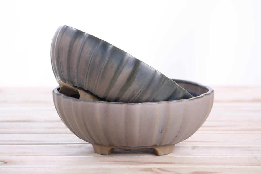 7-Inch Lily Bonsai Pot - Ocean