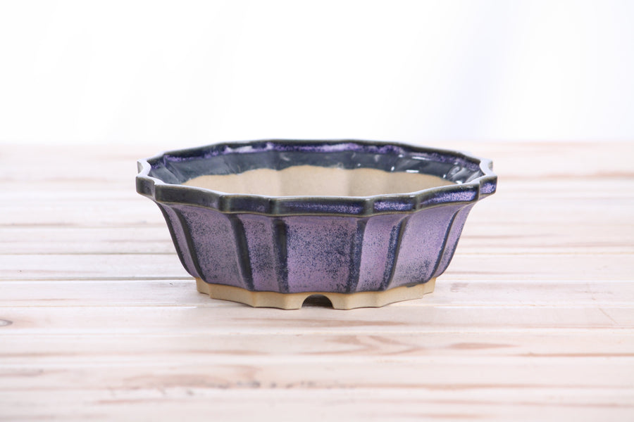 6.5-Inch Flower Bonsai Pot - Purple