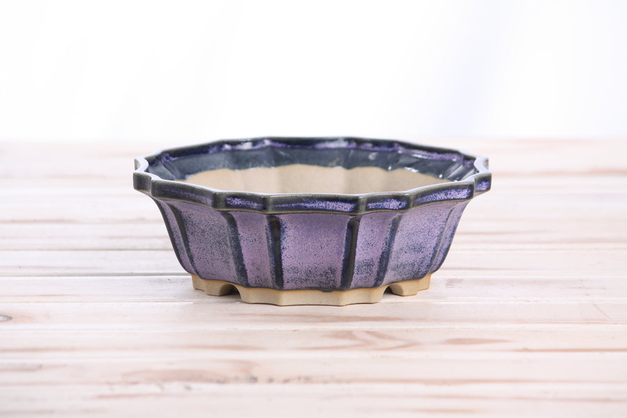 6.5-Inch Flower Bonsai Pot - Purple