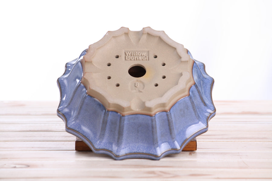 8-Inch Flower Bonsai Pot - Denim
