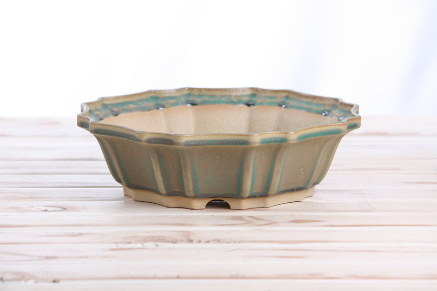 10-Inch Flower Bonsai Pot - Speckled Moss