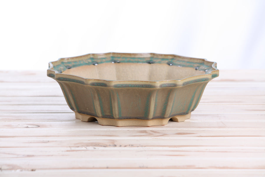 10-Inch Flower Bonsai Pot - Speckled Moss