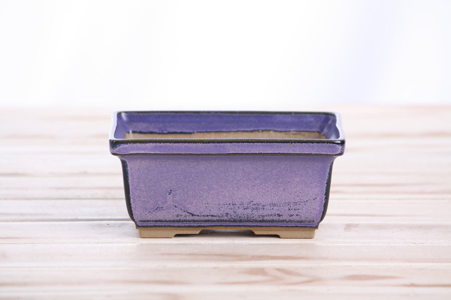 5-Inch Rectangle Deep Bonsai Pot - Purple