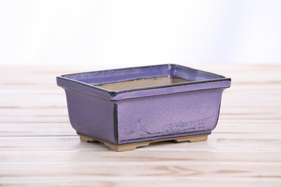 5-Inch Rectangle Deep Bonsai Pot - Purple