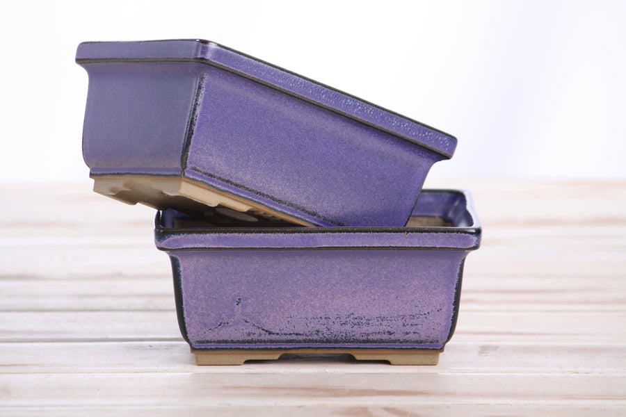 5-Inch Rectangle Deep Bonsai Pot - Purple