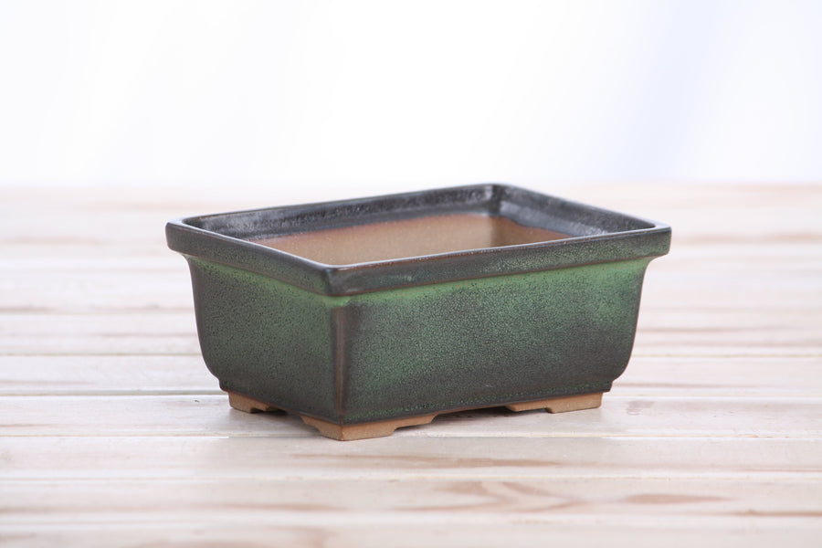 5-Inch Rectangle Deep Bonsai Pot - Avocado