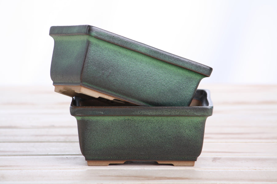 5-Inch Rectangle Deep Bonsai Pot - Avocado