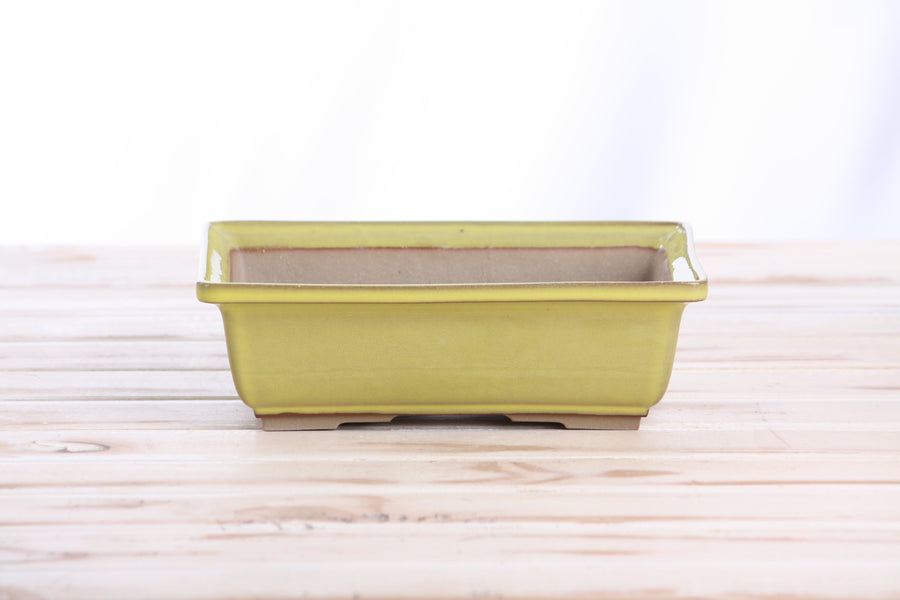 8-Inch Rectangle Bonsai Pot - Yellow