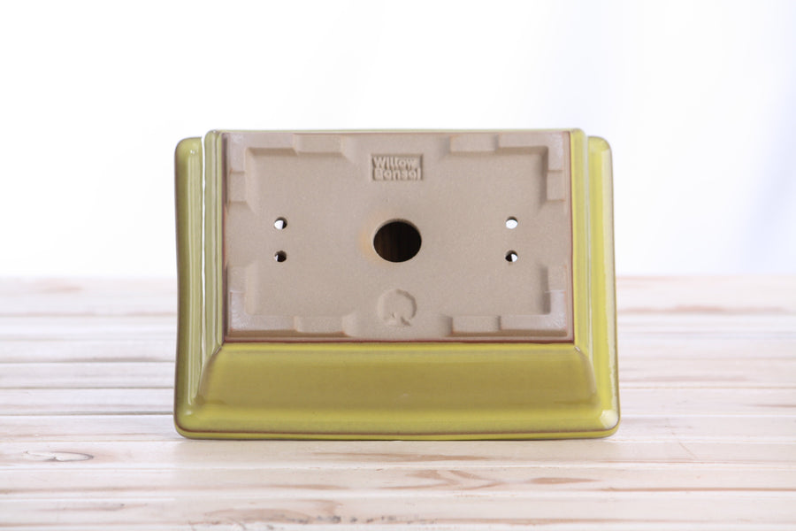 8-Inch Rectangle Bonsai Pot - Yellow