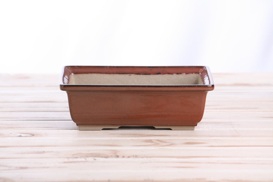 8-Inch Rectangle Bonsai Pot - Sunset